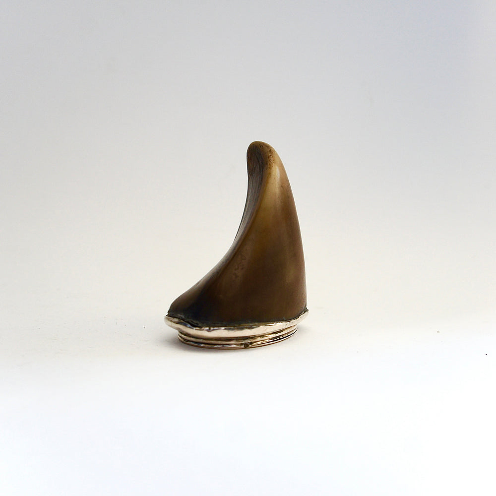 A silver mounted cow hoof snuff mull.